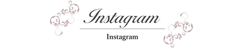 インスタグラム